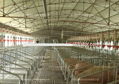 畜牧養(yǎng)殖負(fù)壓排風(fēng)機(jī) 畜牧養(yǎng)殖負(fù)壓排風(fēng)機(jī)